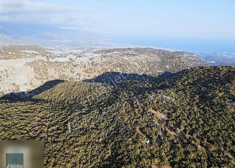 Venüs Emlak Demre Den Demre Gürses De Satılık Tarla