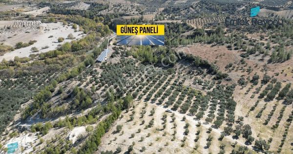 Emlak Reyonu Mut Işıklar Köyünde Zeytin Bahçesi Satıyor