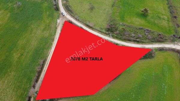 Ordu Mahallesi 2878 M2 Satılık Köşebaşı Tarla