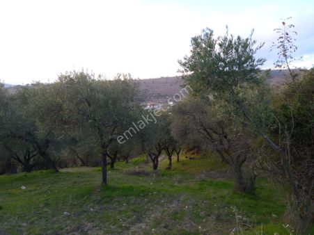 Manisa Kağan Da Satılık Harika Bir Yer Yaşan Alanına Uygun