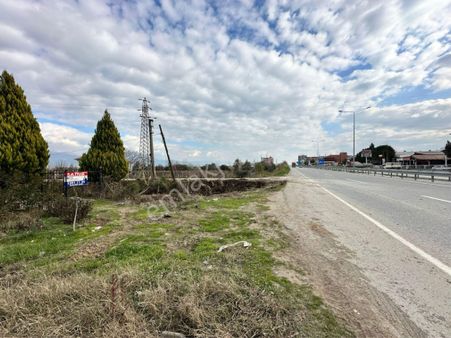Alaşehir Girişi Denizli-izmir Asfalt Üzeri Kupon Arazi