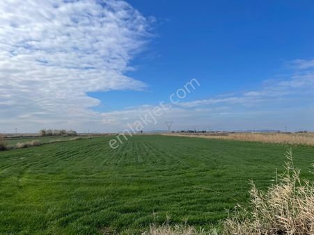 Menemen Kesik Mahallesi İmara Yakın Satılık Tarla