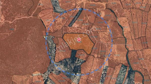 Torbalı Çapak Satılık Tarla Yatırımcıların Dikkatine!