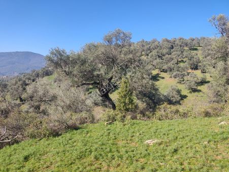 Doğa Gayrimenkul'den İzmir Bayındır'da Kaçırılmayacak Yatırım Fırsatı