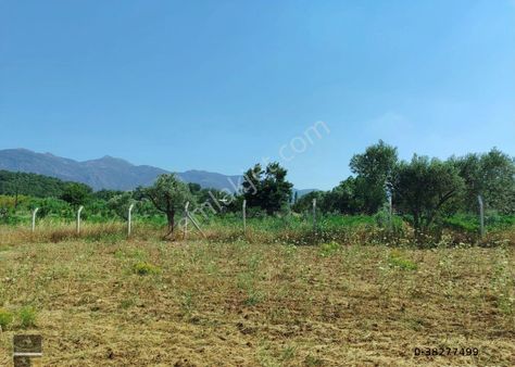Kaya Emlak'tan Kemalpaşa Örnek Köye Yakın Konumda Acil Satılık Bahçe