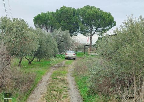Kemalpaşa Ankara Yoluna Yakın Ören Mahallesinde Yatırımlık Satılık Bahçe