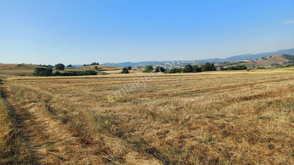 Kocaeli Karamürsel Kızderbent Satılık %5 İmarlı 2188 M2 Tarla