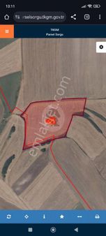 Muratlı Yukarı Sevindikli Mahallesinde Satılık Tarla P.no:1670 M