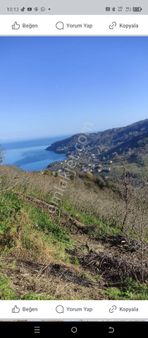 Perşembe Ramazan Mahallesi İmarlı 1105 M2 Satılık Arsa.