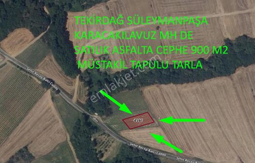 Tekirdağ Süleymanpaşa Karacakılavuz Mahallesinde Satılık Tarla