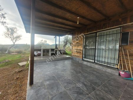 Edremit Kavlaklar"da Full Deniz Ve Doğa Manzaralı Zeytinlik