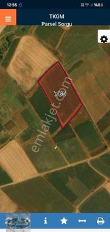 Acil Satilik Tarla