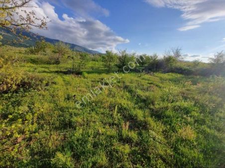 Kazdağlarının İçinde Muhteşem Biryer Sahibinden Satılık Komisyonsuz