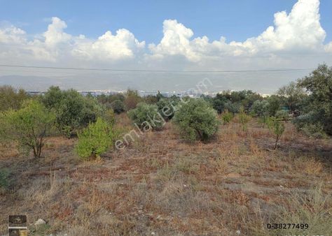 Kemalpaşa Sanayi Organize Bölgesine Yakın Konumda Acil Satılık Bahçe
