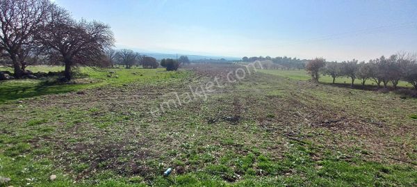 Satılık Müstakil Tapu Tarla