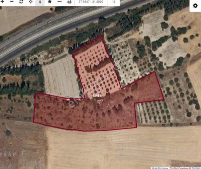 Konya Seydişehir Çavuş Mah. Satılık 14395 M2 Yol Kıyısı 60 M Ceviz Bahçesi