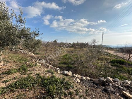 Silifke Malır Yaylasında İmarlı 10.dönüm