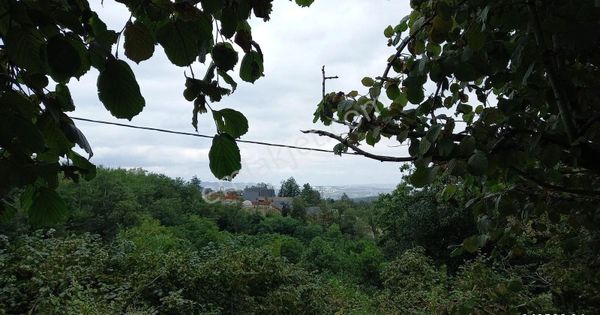 Göl Manzaralı Bahçemiz Satılık...