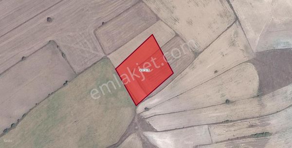 Gümele Köyü'nde Satılık Tarla