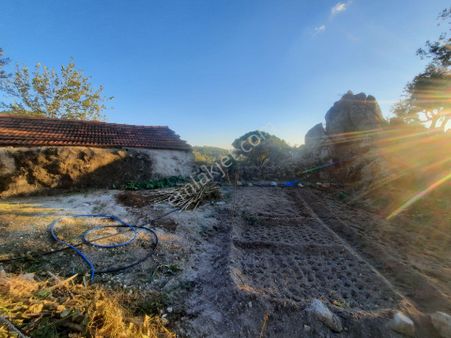 Milas Sarıkaya Mahallesi Gökseki Köyiçi Hobi Bahçesi