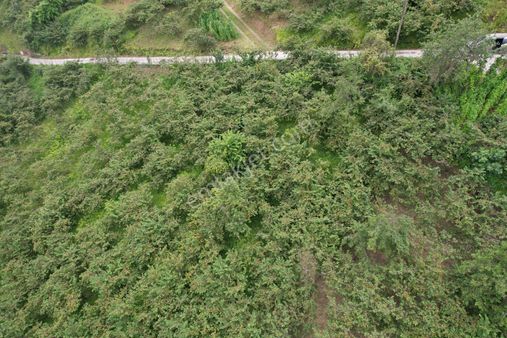Trabzon Sayvan'da Kaçırılmayacak Satılık Arsa