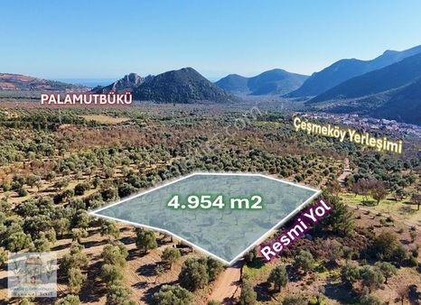 Cumalı Mah. 4954 M 50 M2 Yapı Ruhsatlı Hayallerinizdeki Arazi