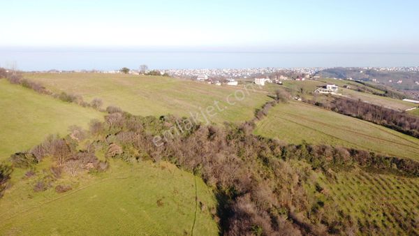 Kurugökçe De Doğası Ve Konumu İle Yatırımlık Arsa