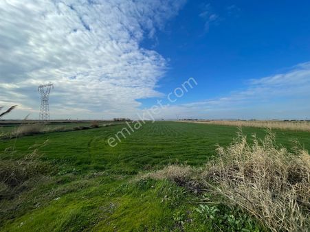 Menemen Kesik Mahallesi İmara Yakın Satılık Tarla