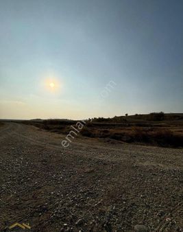 Meriç Büyükaltıağaç Köyünde 4067 Metrekare Çeltik Tarlası