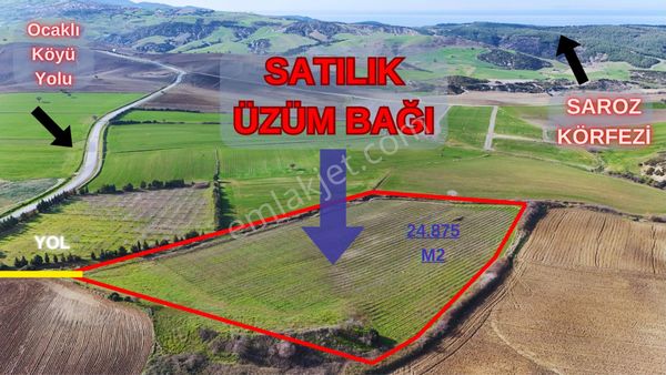 Geliboluda Ocaklı Köyünde Satılık Üzüm Bağı , Tarla , Bahçe