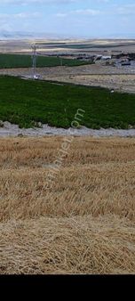 Kayseri Melikgazi Kulaklı 6700 M2 Bağ Yeri