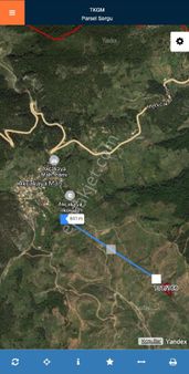 Muğla Milasta Tek Tapu Zeytinlik Tarla