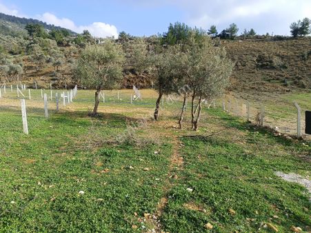 Buca Kırıklarda 250 M² Arsa