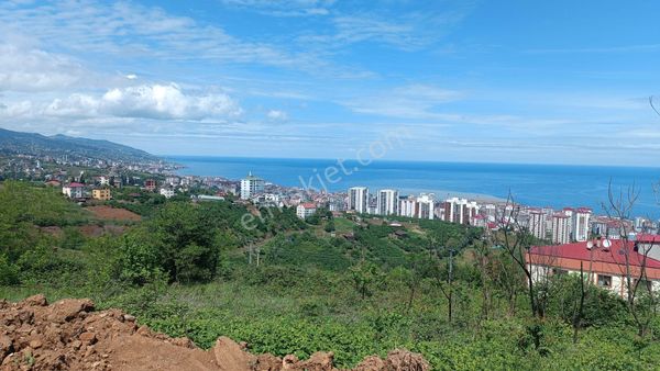 Trabzon Akçaabat Söğütlü Orta Mahalle'de 389 M² Satılık Arsa