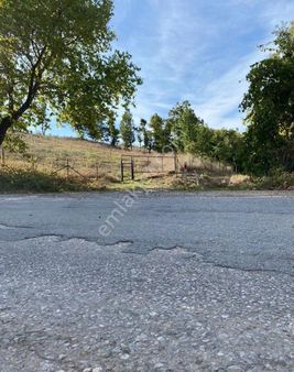 Balıkesir Gönen Kocapınar Mah Ana Yola Cephe 12.731m2 Meyve Bahçemiz Satılık