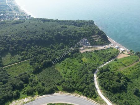 Düzce Akçakoca Paşalar Da Full Deniz Manzaralı Satılık Arazi