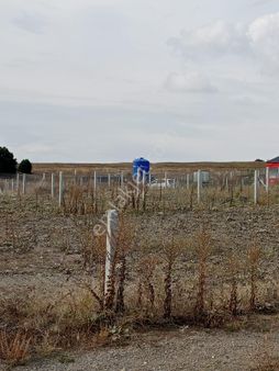 Karapazar Mahallesin’de 400 M2 Tapulu Satılık Hobi Bahçesi