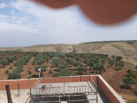 Kılınç Emlka'tan Büyükalanlı'da 20 Dönüm Ev+zetinlik Satılıktır