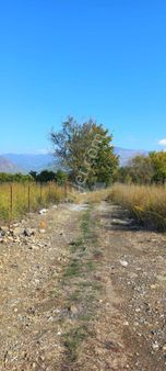 Fatoş Emlak'tan Muğla Köyceğiz Toparlar Mah 6000 M2 Narenciye Bahçesi