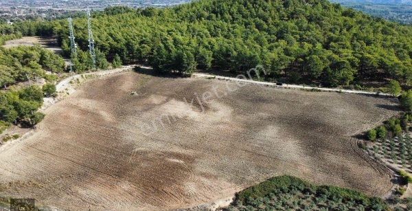 Muğla Seydikemer Çaykenarı Mahallesi 36 Dönüm Tek Tapu Kupon Arazi