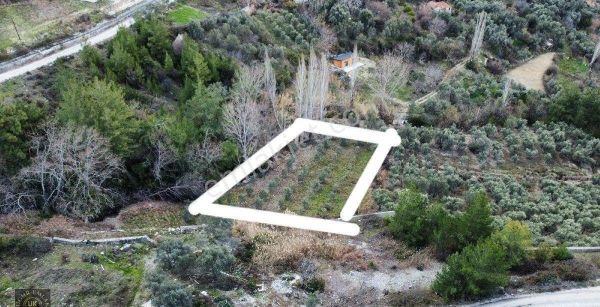 Seydikemer Söğütlüdere' De 1600 Kupon Arazi