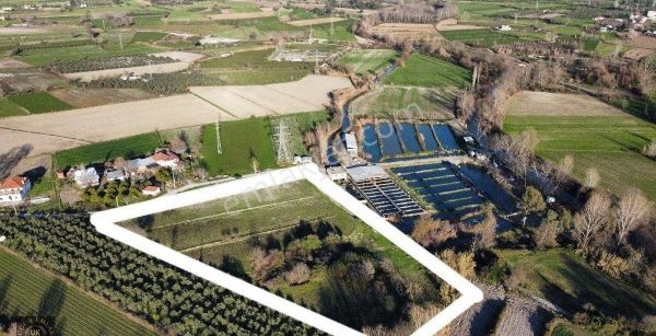 Seydikemer Örende 10800 M2 İfraza Uygun Satılık Müstakil Arazi