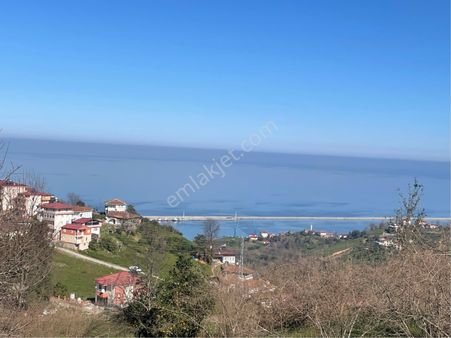 Elite Gayrimenkulden Sürmene Baştımarda Panaromik Manzaralı Satılık 2780 M2 Arazi