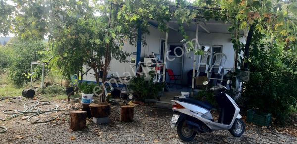 Muğla Fethiye Yolu Ula Sapagında Satılık Narenciye Tarla