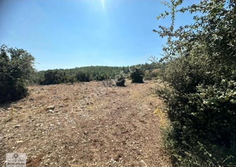 Altaş’tan Milas Kayadere'de Satılık Tarla