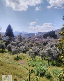 Milas Dereköy’de Satılık Tarla