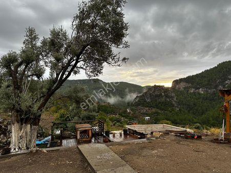 Milas Menteşe Dağpınarda Satılık Ev Ve Bahçesi