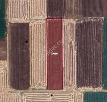 Denizli Acıpayam Akalan'da Satılık Ceviz Bahçesi