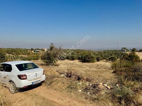 Karaoğlanlı Da 2.700 M2 Tarla , Köye 450 Mt, Resmi Yolu Var