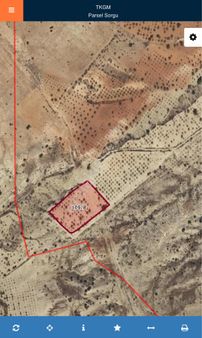 Lohan Cevizlide Satlık Arazi